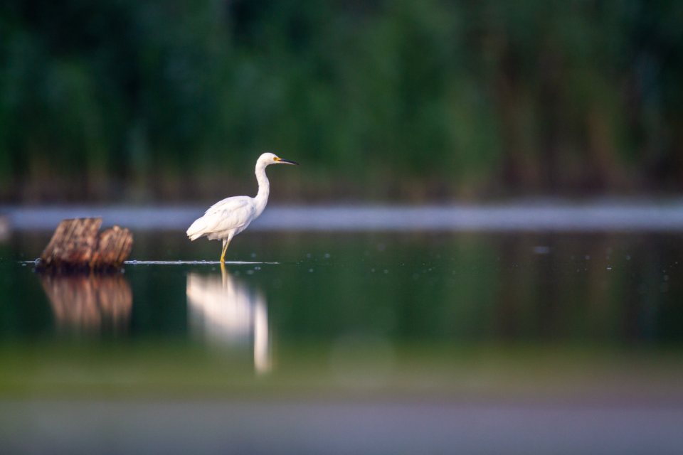 Delta del Ebro