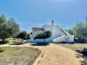 Chalet con Vistas Panorámicas al Mar y Delta – 3