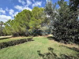 Exclusiva Finca Rústica con Vistas al Mar – 9