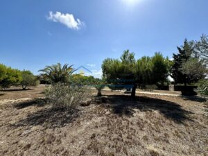 Exclusiva Finca Rústica con Vistas al Mar – 11