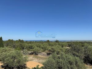 Chalet con Vistas Panorámicas al Mar y Delta – 11