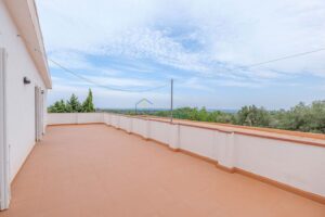 Finca con Dos Viviendas y Piscina (Barraqués) – 14