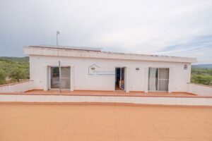 Finca con Dos Viviendas y Piscina (Barraqués) – 16