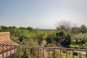 Finca Rústica con Cúpula y Observatorio – 24
