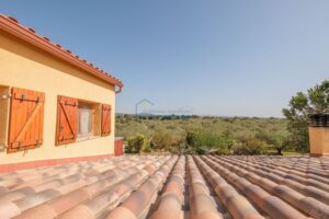 Finca Rústica con Cúpula y Observatorio – 25