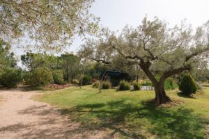 Finca Rústica con Cúpula y Observatorio – 28
