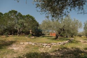 Finca Rústica con Cúpula y Observatorio – 34