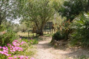 Finca Rústica con Cúpula y Observatorio – 46