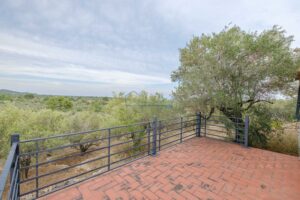 Finca con Dos Viviendas y Piscina (Barraqués) – 58