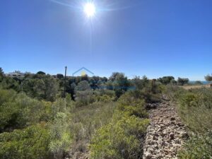 Parcela Urbana Edificable en Cap Roig con Vistas al Mar – 4