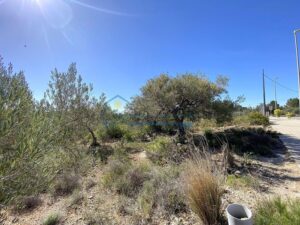Parcela Urbana Edificable en Cap Roig con Vistas al Mar – 10